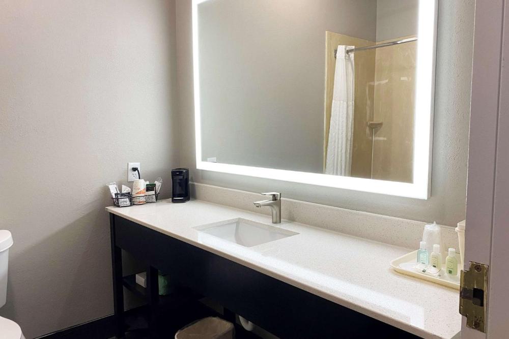 King Room with Roll-in Shower - Mobility Access/Non-Smoking interior
